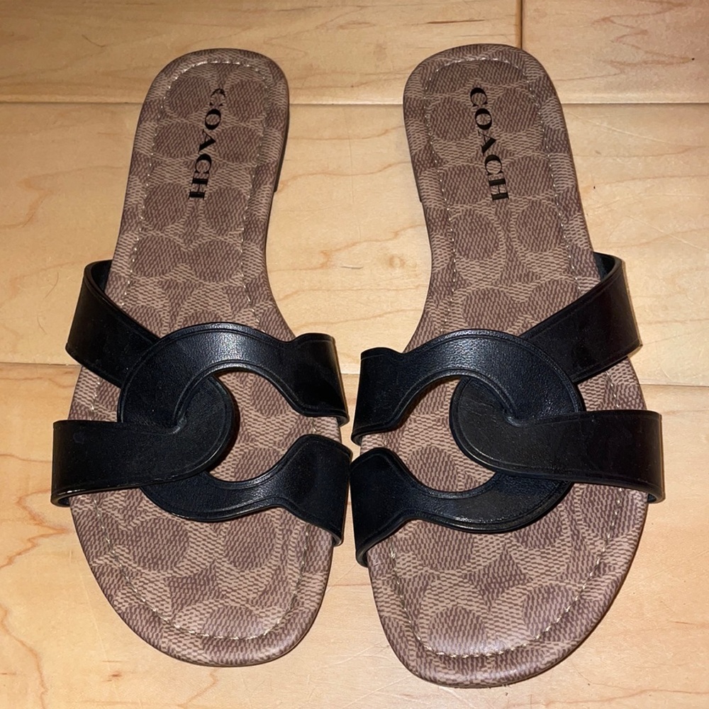 Coach slides